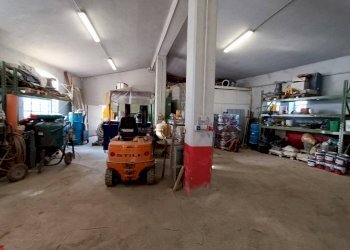 Capannone Mondovì - foto 5