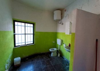 Capannone Mondovì - foto 6