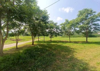 Rustic Carrù - photo 26