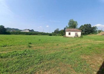 Terreno - Rustico Carrù - foto 33