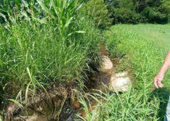 Rustic Carrù - photo 38