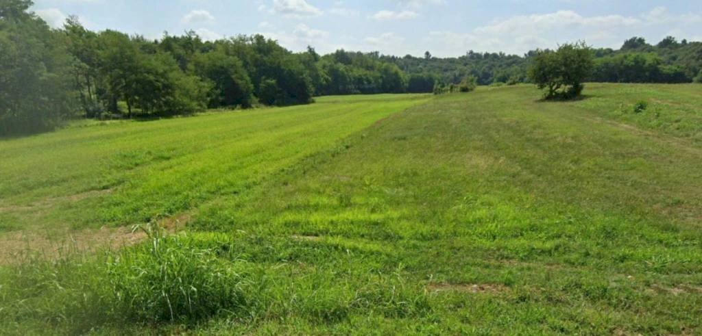 Terreno - Terreno edificabile via Montalenghe, Scarmagno - foto 2