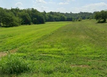 Terreno - Terreno edificabile via Montalenghe, Scarmagno - foto 2