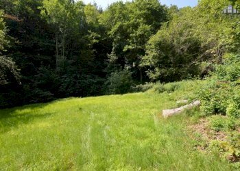 giardino - Rustic via Rueglio, 39, Valchiusa - photo 5