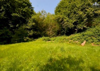 giardino - Rustic via Rueglio, 39, Valchiusa - photo 17