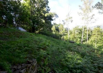 giardino - Rustic strada per Pian Campiglia, Valchiusa - photo 5