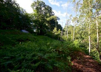 giardino - Rustic strada per Pian Campiglia, Valchiusa - photo 8