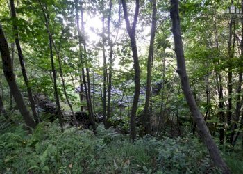 facciata - Rustic strada per Pian Campiglia, Valchiusa - photo 12