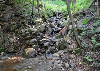 dettaglio - Rustic strada per Pian Campiglia, Valchiusa - photo 13