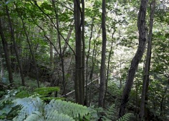 facciata - Rustic strada per Pian Campiglia, Valchiusa - photo 14
