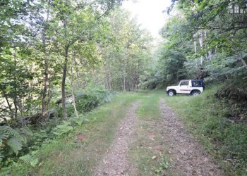 strada - Rustic strada per Pian Campiglia, Valchiusa - photo 17