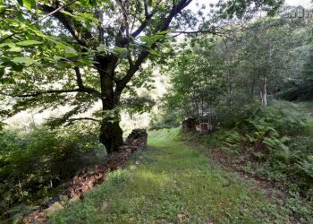 dettaglio - Rustic strada per Pian Campiglia, Valchiusa - photo 18