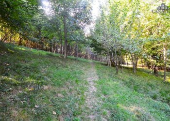 strada - Rustic pra di vico, 24, Valchiusa - photo 9