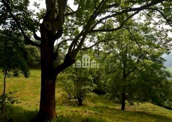 Esterno - Rustic Fraz. Gumba, Valchiusa - photo 18