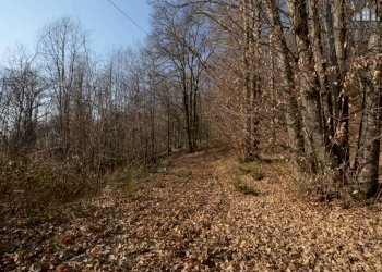 giardino - Casa indipendente strada della gatta, 15, Val di Chy - foto 5