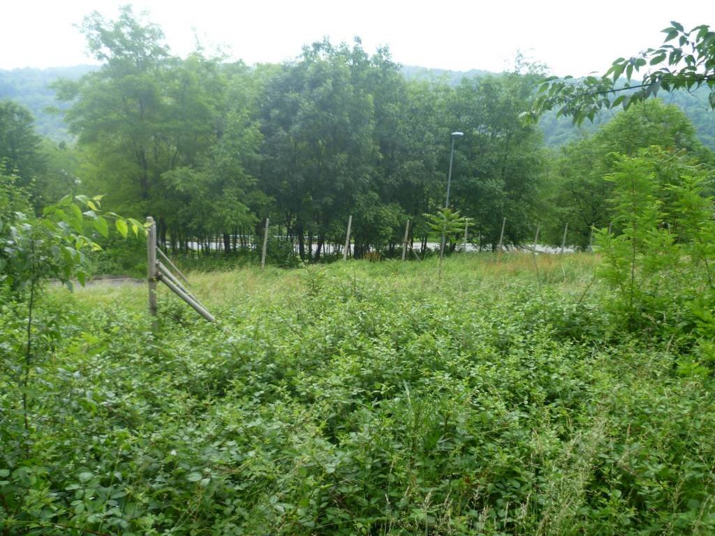 Foto 3 - Terreno edificabile via Alleu, Strambinello - foto 3