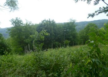 Foto 1 - Terreno edificabile via Alleu, Strambinello - foto 1