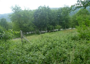 Foto 2 - Terreno edificabile via Alleu, Strambinello - foto 2