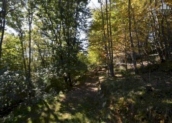 Giardino - Rustico strada comunale Fobbie, Rueglio - foto 16