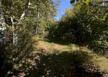 Giardino - Rustico strada comunale Fobbie, Rueglio - foto 23