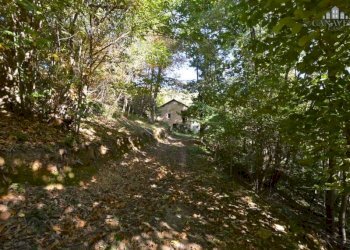 Giardino - Rustico strada comunale Fobbie, Rueglio - foto 25