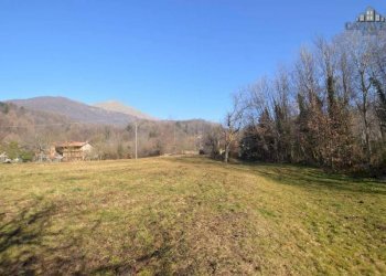 terreno - Terreno edificabile via pianezze, snc, Borgiallo - foto 8