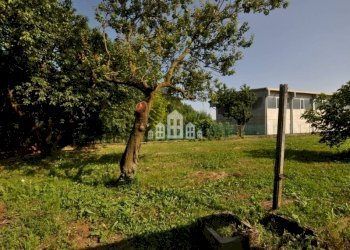 terreno - Terreno edificabile strada del Caudano, snc, Cuorgnè - foto 6