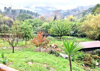 20231130_112001.jpg - Villa Trifamiliare Via Morucciola, Arcola - foto 3