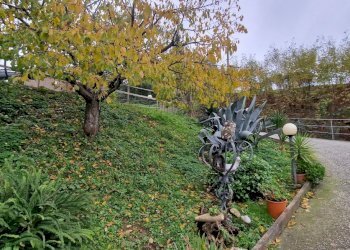 20231204_123302.jpg - Villa Trifamiliare Via Morucciola, Arcola - foto 5