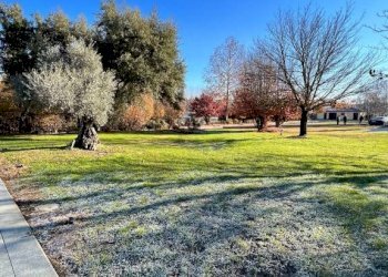 Casa indipendente Castelnuovo Belbo - foto 6