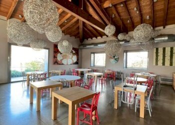 Casa indipendente Castelnuovo Belbo - foto 13