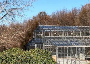 Casa indipendente Castelnuovo Belbo - foto 24