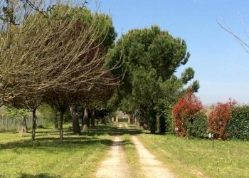 Farmhouse Ravenna - photo 9