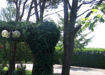 Farmhouse Ravenna - photo 10