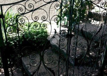 Villa Via Antonio Giuseppe Norero, San Colombano Certenoli - foto 30