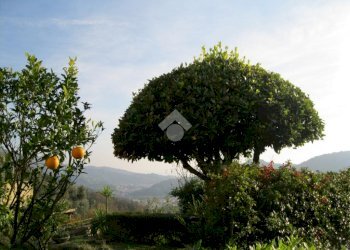 Villa Via Antonio Giuseppe Norero, San Colombano Certenoli - foto 35