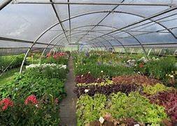 Commercial Activity Castelnuovo Don Bosco - photo 1