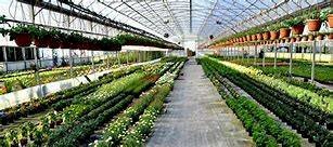 Commercial Activity Castelnuovo Don Bosco - photo 2