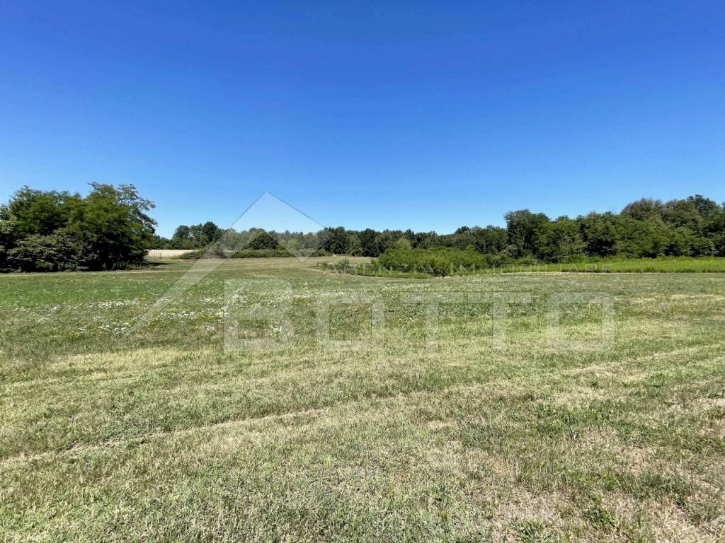 terreno vendita cavallirio 3 - Terreno edificabile via Martinetti, Cavallirio - foto 3