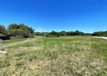 terreno vendita cavallirio 6 - Terreno edificabile via Martinetti, Cavallirio - foto 4