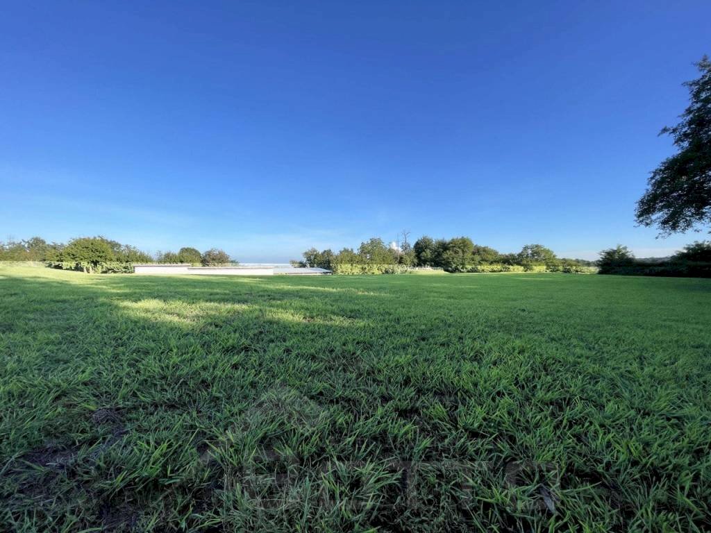 terreno vendita soriso prato2 - Terreno edificabile via casale roncallo, Soriso - foto 3