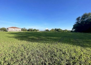 terreno vendita soriso prato - Terreno edificabile via casale roncallo, Soriso - foto 1