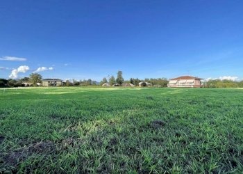 terreno vendita soriso prato1 - Terreno edificabile via casale roncallo, Soriso - foto 2