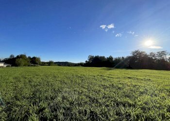 terreno vendita soriso prato4 - Terreno edificabile via casale roncallo, Soriso - foto 5