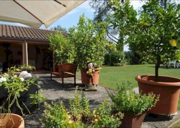 Villa Cossombrato - foto 41