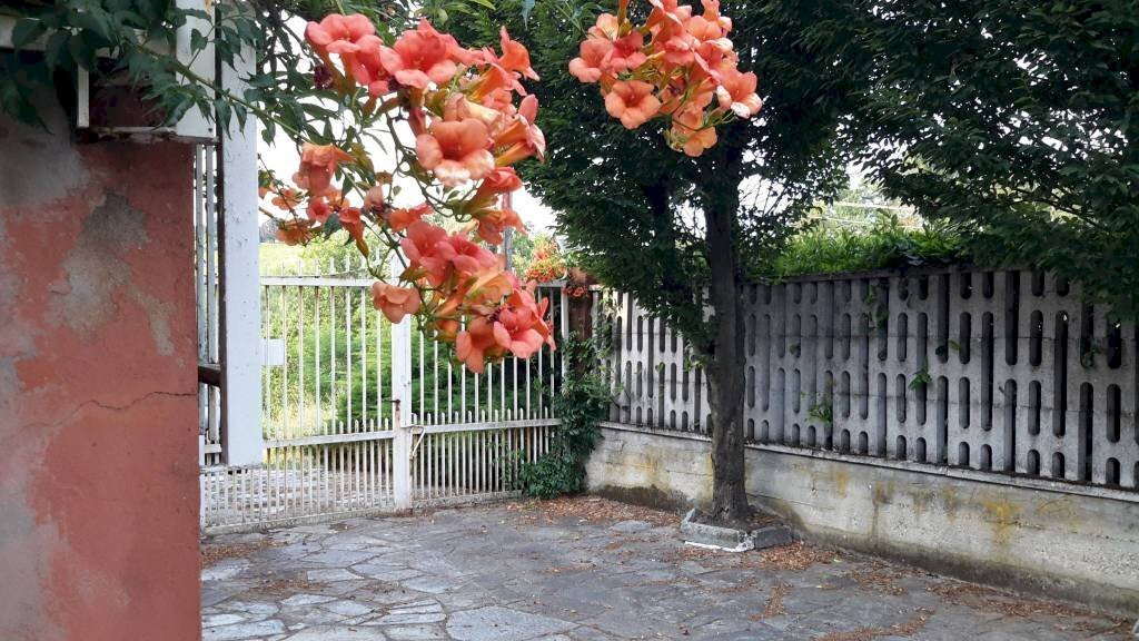 Villa Revigliasco d'Asti - foto 3