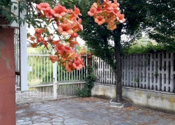 Villa Revigliasco d'Asti - foto 3