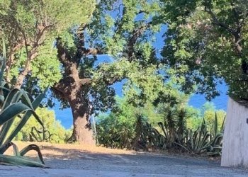 Casa indipendente Pianofaracchio, Centola - foto 13