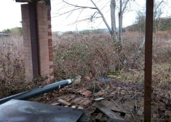 Terreno agricolo Verolengo - foto 3