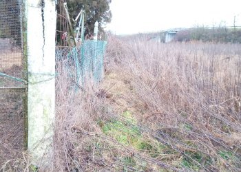 Terreno agricolo Verolengo - foto 5